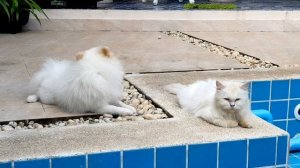 Наши будни на Самуи☀️Таиланд 🏝