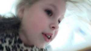 мой кот и кошка