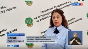 Россельхознадзор следит за качеством зерна и круп, направляемых на экспорт