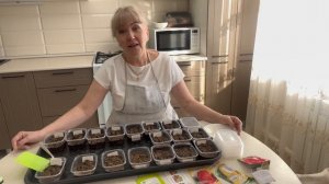 Сажаем петунью//отвечаю на комментарии//💁🌺