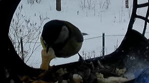 Яичная добавка или второй ужин