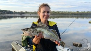 Троллинг - это прикольно! Рыбалка на щуку и судака осенью. Обзор плаща Максиход