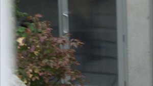 Vизитёры 1 сезон 3 серия «Светлый новый день» (сериал, 2009)