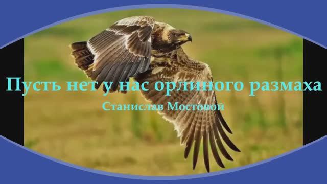 Пусть нет у нас орлиного размаха