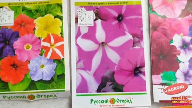 Посев семян петуний на рассаду. смотреть онлайн