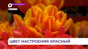 Ботанический сад во Владивостоке готовится к встрече весны
