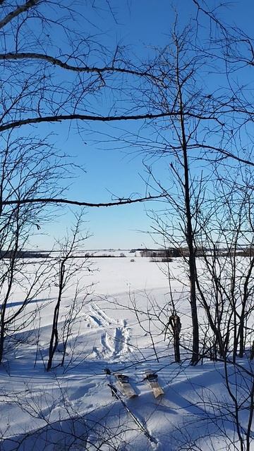 #красота #ГараевДамир #shorts