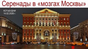 Серенады в «мозгах Москвы» или КОТоБУДНИ от 14.02.2026 г.