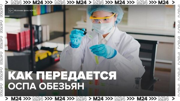 Роспотребнадзор назвал самый распространенный путь передачи оспы обезьян - Москва 24