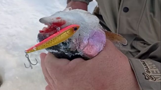 Рыбалка на спорт-зоне. В приоритете активные снасти. Клёвое место Лосиный остров. смотреть онлайн