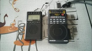 Сюрприз от радиоприёмника PANDA 6107 в плане собственных шумов