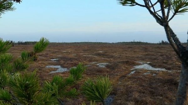 Опция MIX для манков Hunterhelp Standart 3 и Master 3