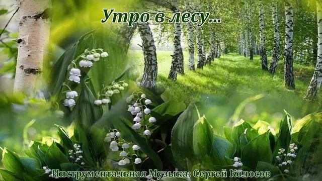 Утро в лесу...(Музыка Сергея Колосова) смотреть онлайн