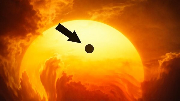 КТО ЖИВЕТ НА ВЕНЕРЕ? Получены Реальные Снимки Поверхности