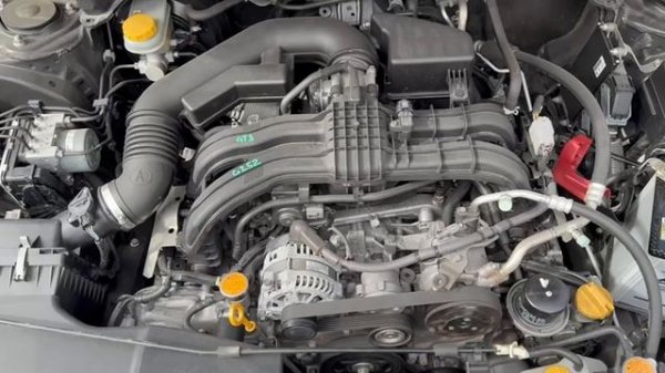 VID_20260218_094037_392.mp4