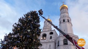 Вторая жизнь Кремлевской елки. Доброе утро. Фрагмент выпуска от 18.02.2026