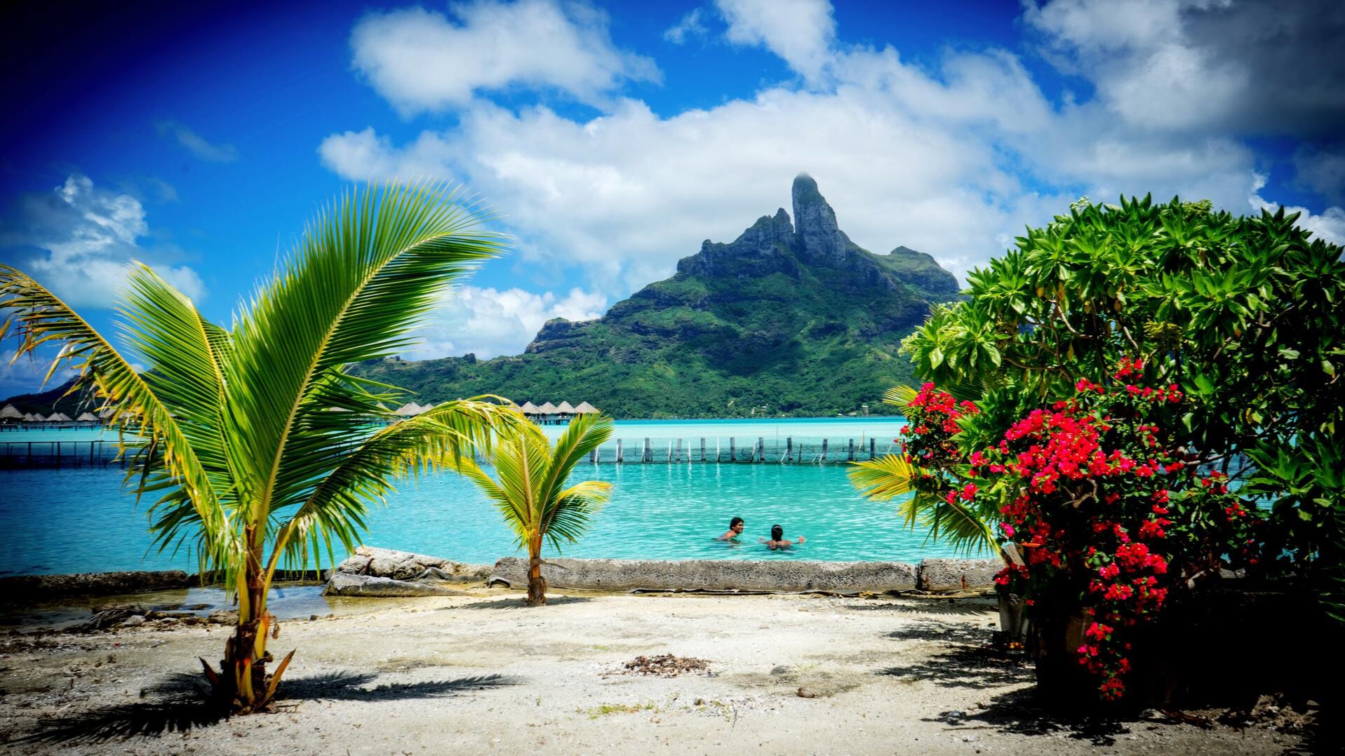 Мое произведение,* Угли*