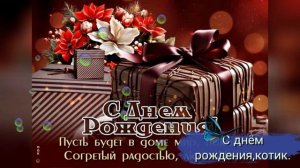 С Днём Рождения,котик.