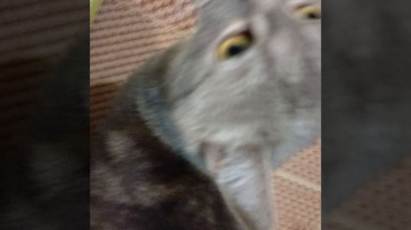 Спасибо за 155 подписчиков