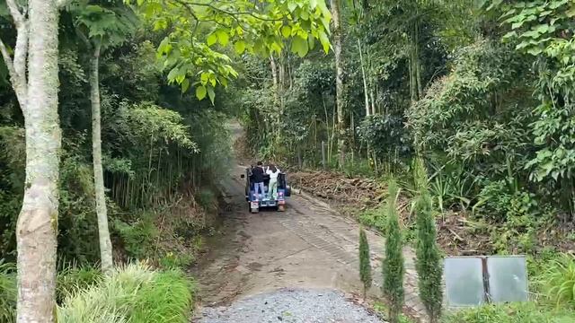 Кофейная ферма