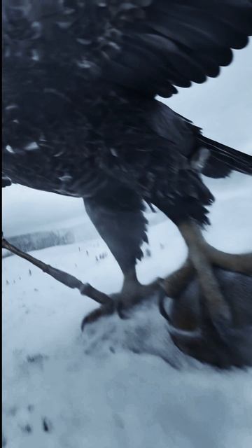 Страж. 2 глава (фильм Объект)