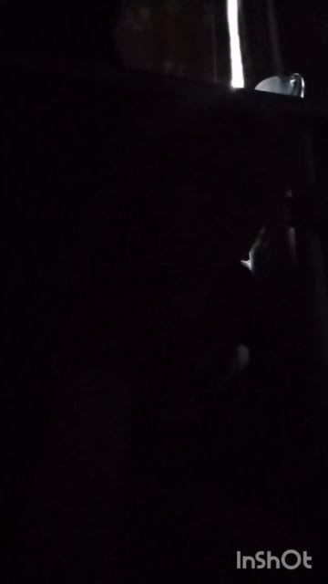 Типичный классный час у младших классов