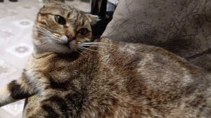 Тосенька моя