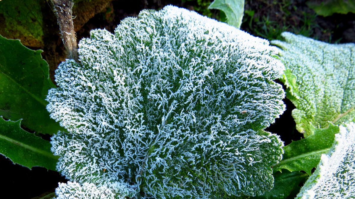 Признаки осени... смотреть онлайн