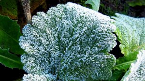 Признаки осени...