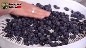 Как приготовить изюм в домашних условиях_(1)