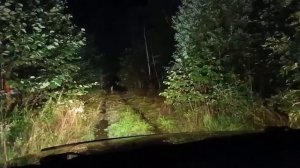 Ночная поездка по лесу на помощь группе АВИАПОИСК