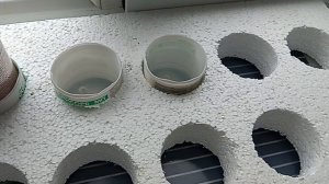 приспособление для укоренения черенков винограда.