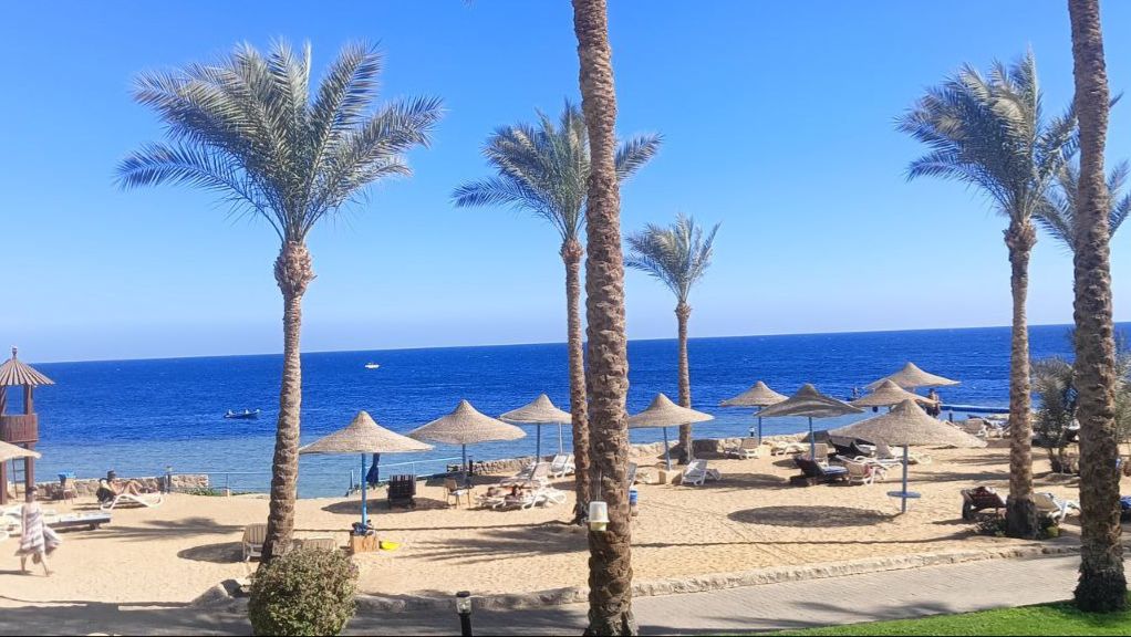 Египет смотреть онлайн