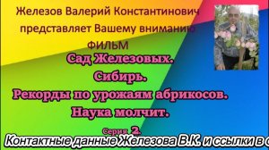 Сад Железовых. Сибирь. Рекорды по урожаям абрикосов. Наука молчит. Серия2.