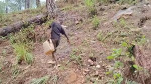 47серия/Жизнь в горной деревне Непала | в непальской бедной, но счастливой семье