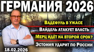 Вадефуль в ужасе/Вайдель атакует власть/Мерц идёт на второй срок?/Эстония ударит по России