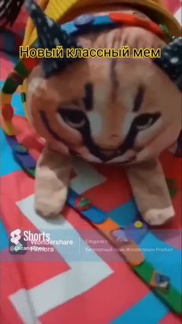 We`re coming in! (Мы идём!)