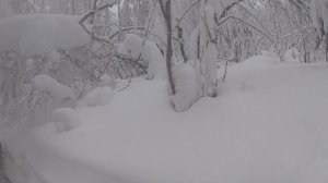 Подъем к вершине на снегоходах