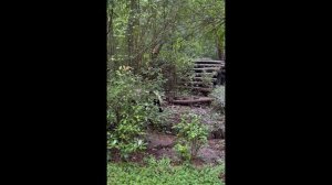 «Китай: путешествие в страну контрастов»