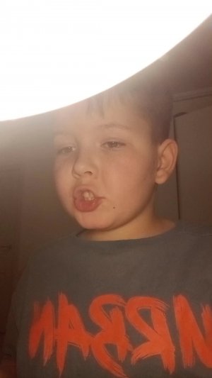 делаю уроки