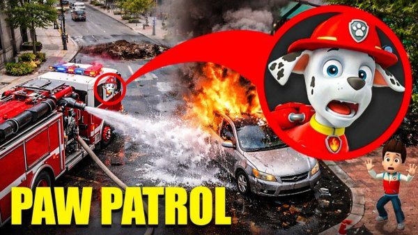 МОЙ ДРОН ПОЙМАЛ ЩЕНЯЧИЙ ПАТРУЛЬ!! СТРАШНАЯ ИСТОРИЯ МАРШАЛЛА