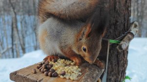 Модель забежала перекусить. Давно её не было
