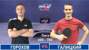 Горохов - Галицкий (17.02.2026)