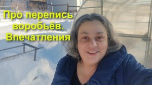 Мои впечатления об участии в воробьиной переписи