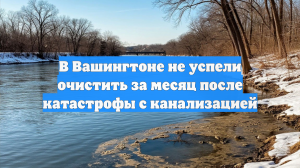 В Вашингтоне не успели очистить за месяц после катастрофы с канализацией