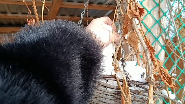 МУЖ БОРЕЦА СО СНЕГОМ, ГОТОВЛЮ РЫБУ, КРУЧУ БЛИНЫ.. смотреть онлайн