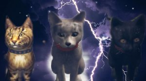 СЕКРЕТ КОТОРЫЙ ТЫ НЕ ЗНАЕШ 100% камень и фиолетовый мёд