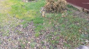 Люся и Симбочка