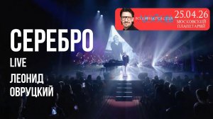 Леонид Овруцкий - Серебро (кавер) - live