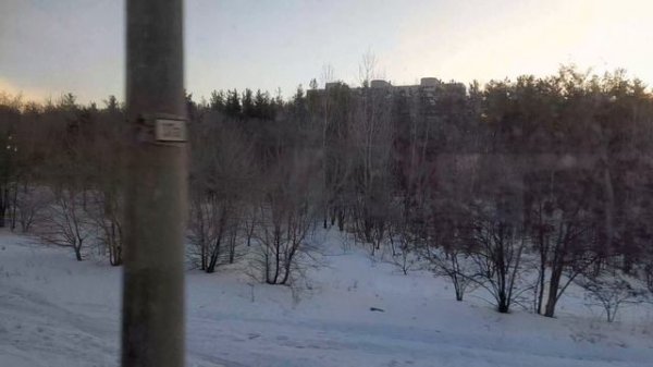 Центральная Россия. Зима! 18.02.2026